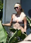 Paris Hilton