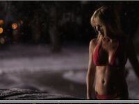 Heather Locklear