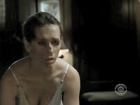 Jennifer Love Hewitt