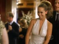 Jennifer Love Hewitt