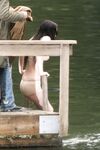 Megan Fox