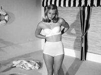 Cybill Shepherd