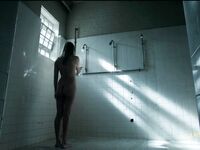 Ivana Milicevic