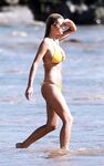 Brooklyn Decker