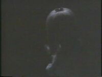 Bridget Fonda