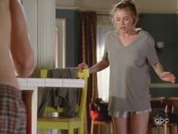 Emily VanCamp