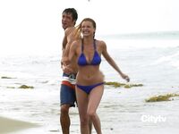 Emily VanCamp