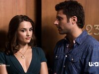 Rachael Leigh Cook