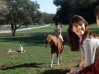 Phoebe Cates