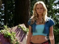 Laura Vandervoort