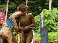 Survivor Girls