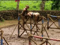 Survivor Girls