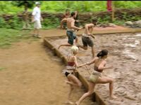 Survivor Girls