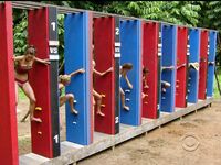Survivor Girls