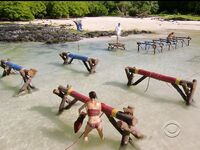 Survivor Girls