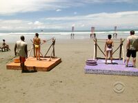 Survivor Girls