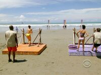 Survivor Girls
