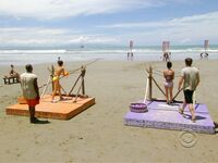 Survivor Girls