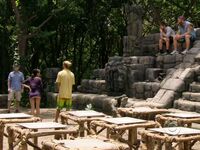 Survivor Girls