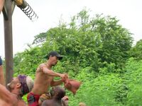 Survivor Girls
