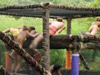 Survivor Girls