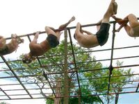 Survivor Girls