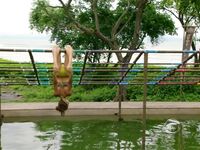 Survivor Girls