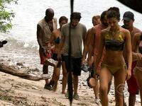 Survivor Girls