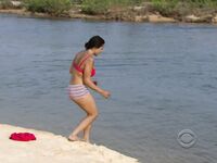 Survivor Girls