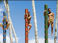 Survivor Girls
