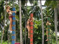 Survivor Girls