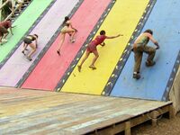 Survivor Girls