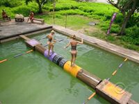 Survivor Girls