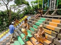 Survivor Girls