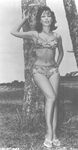 Barbara Eden