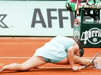 Jelena Jankovic
