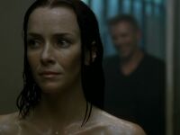 Annie Wersching