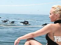 Hayden Panettiere