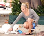 Hayden Panettiere