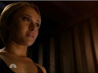 Hayden Panettiere