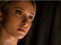 Hayden Panettiere