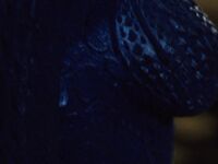 Jennifer Lawrence