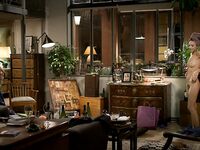 Stephanie Crayencour