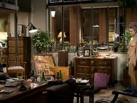 Stephanie Crayencour