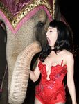 Katy Perry
