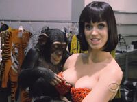 Katy Perry