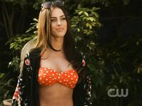 Jessica Lowndes
