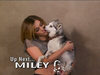 Miley Cyrus