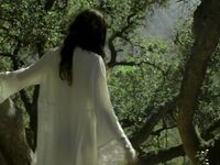 Anna Christine Speckhart